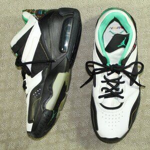 Size 9 - Jordan Point Lane Urban Jungle Athletic Shoes CZ4166-103